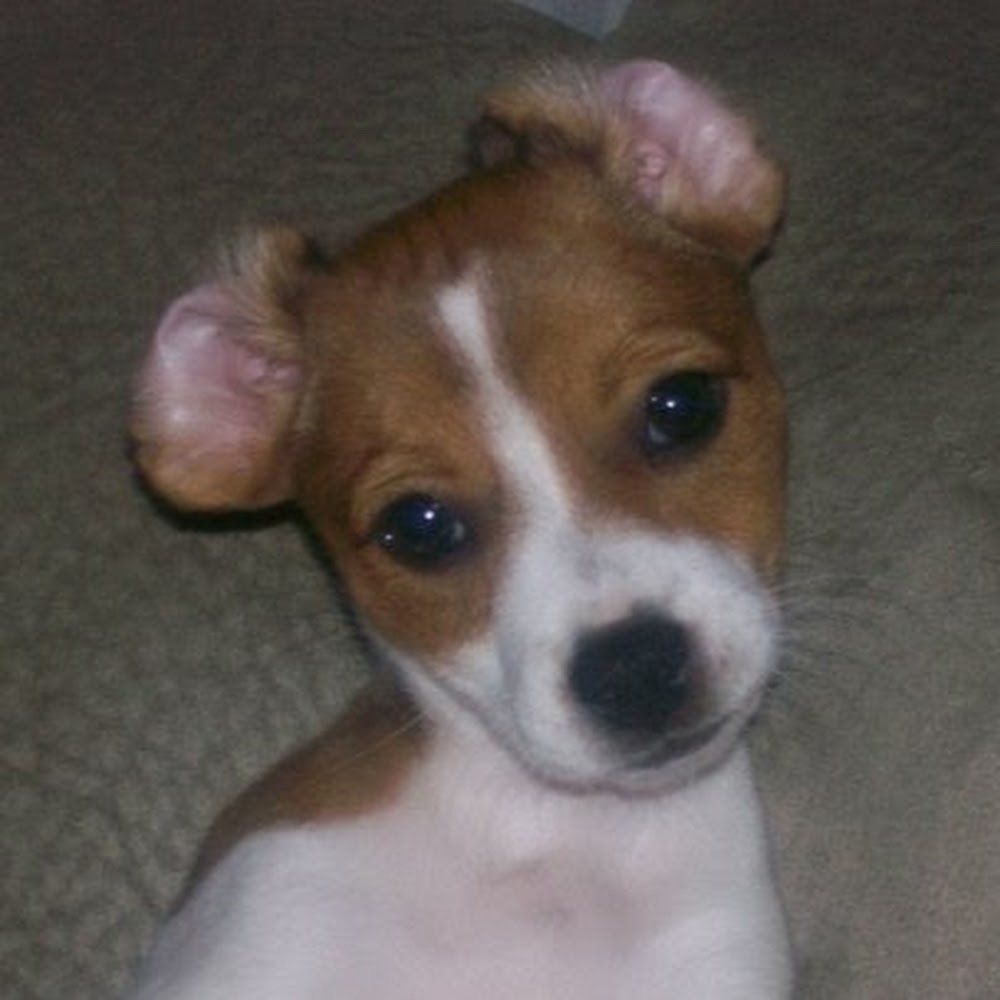 Meet your Posher, Sonja